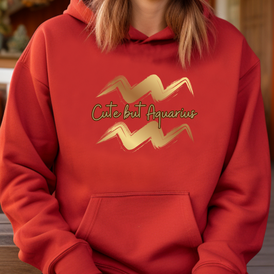 Aquarius Hoodie