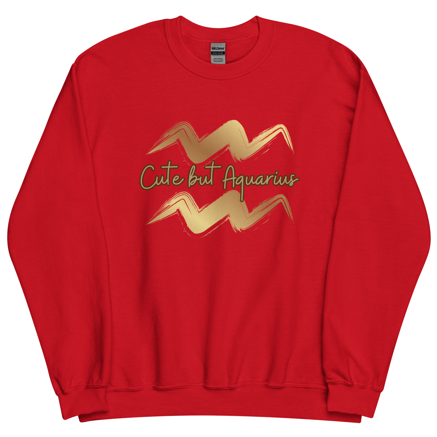 Red sweatshirt with "Aquarius" Original Nine-29 Design