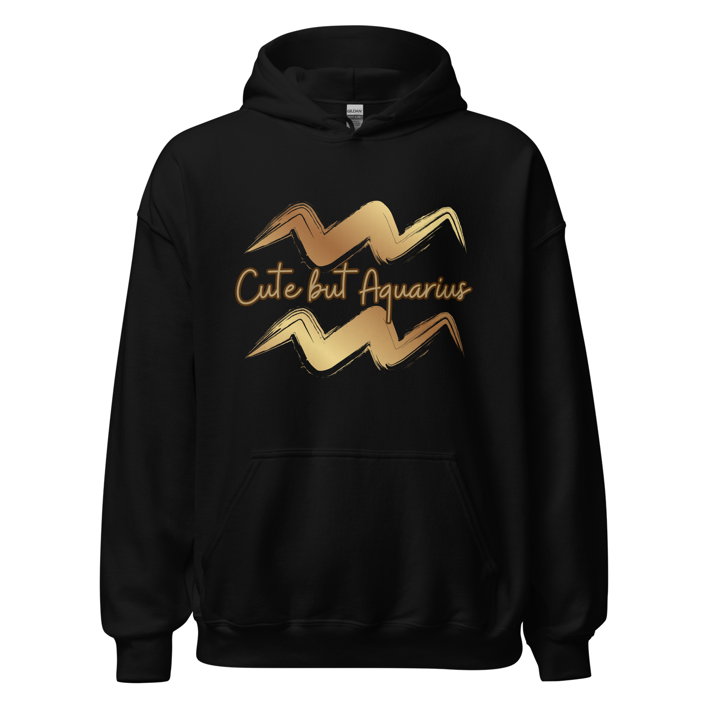 Aquarius Hoodie
