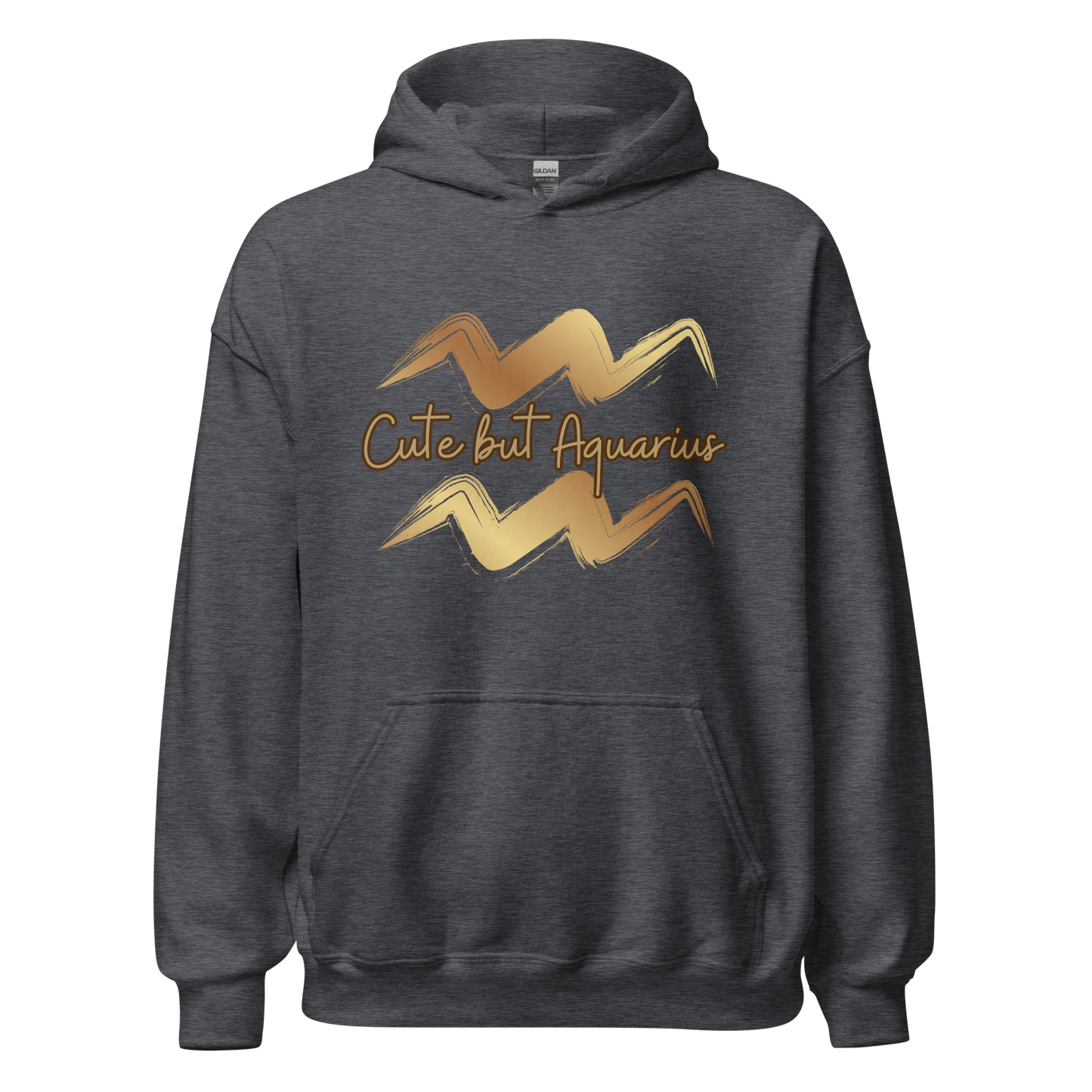 Aquarius Hoodie