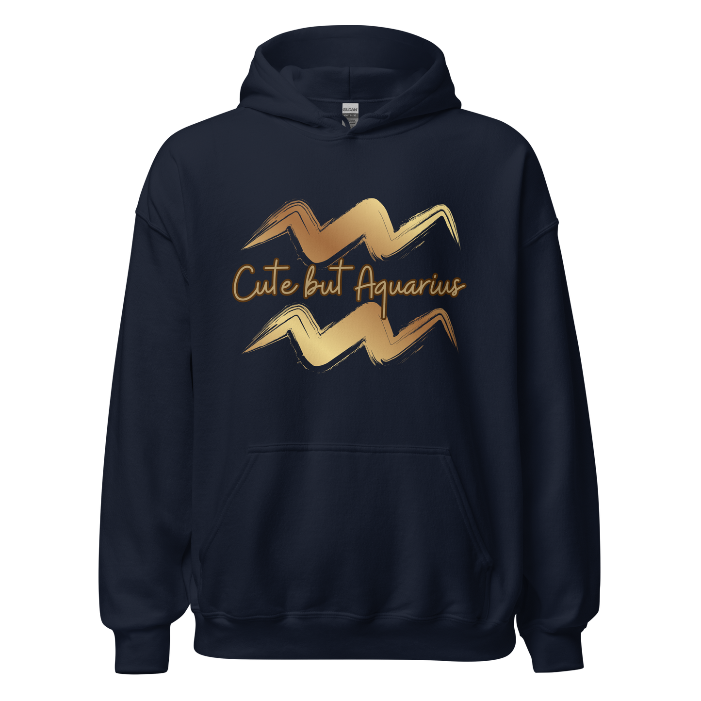 Aquarius Hoodie