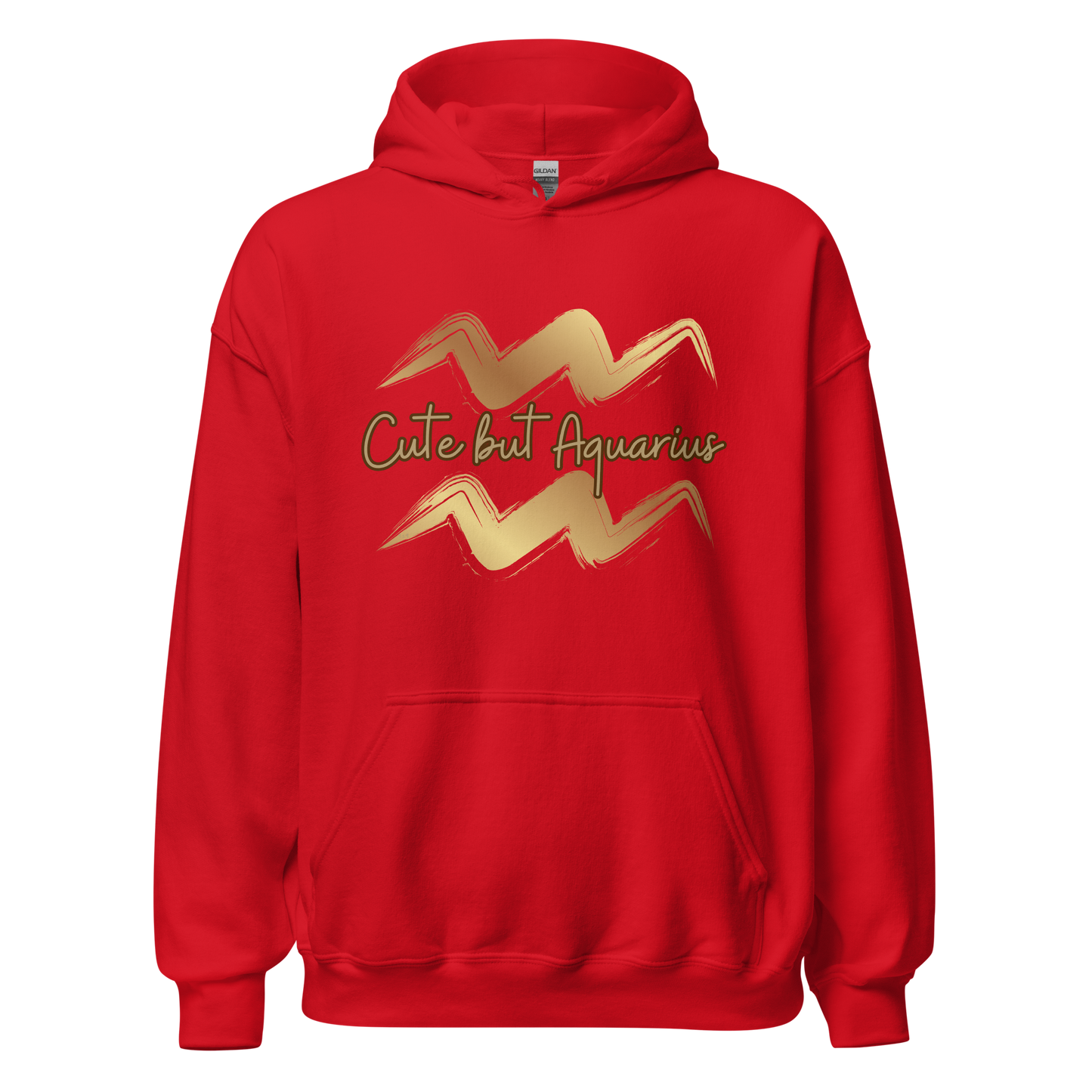 Aquarius Hoodie