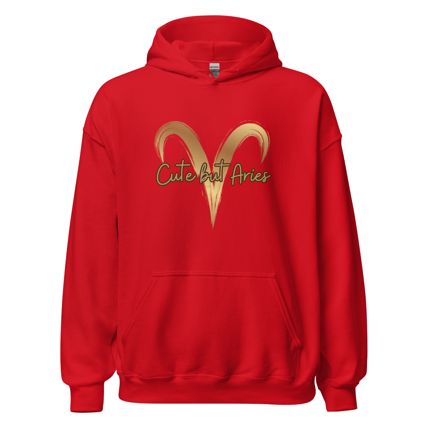 Aries Hoodie
