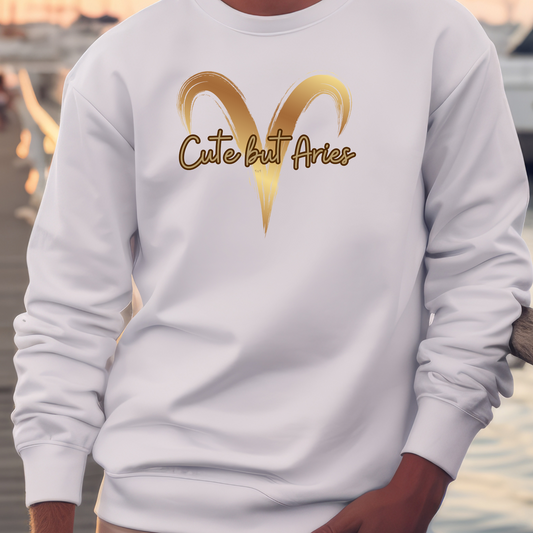 Aries Sweatshirt