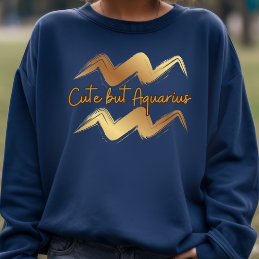 Aquarius Sweatshirt