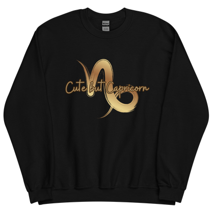 Black sweatshirt with "Capricorn" Original Nine-29 Design